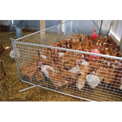 Vergitterte Geflügelhorde