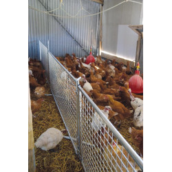 Vergitterte Geflügelhorde