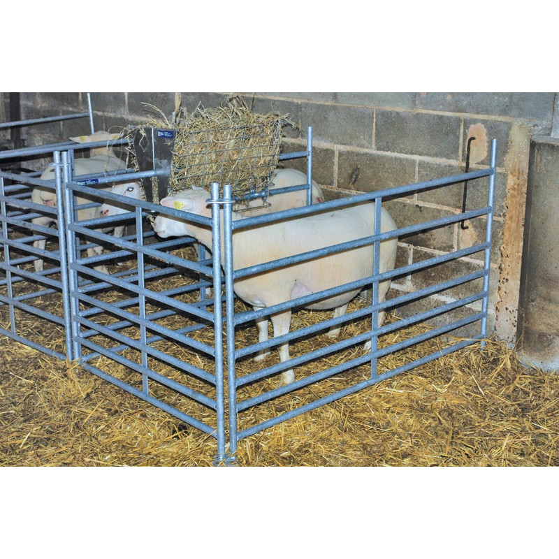 Steckfix-Ablammhorde für Schafe als kleine Tür Steckfix-Ablammhorde für Schafe als kleine Tür