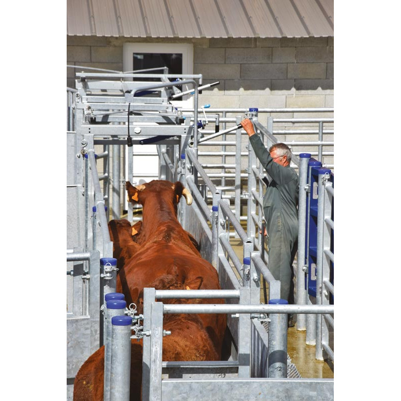 Behandlungstreibgangmodul mit Pfosten zum Einbetonieren Behandlungstreibgangmodul mit Pfosten zum Einbetonieren